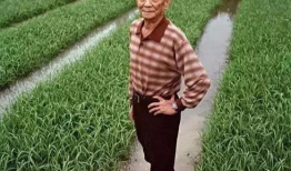 吃瓜爆料袁隆平图片大全,吃瓜群众眼中的农业巨星